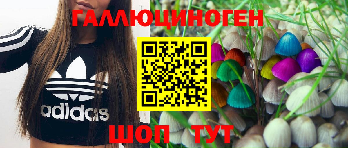 сколько стоит  Псилоцибиновые грибы прущие грибы  Вход с VPN  Кушва 